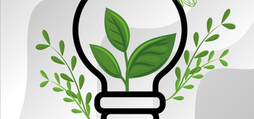 économie d'énergie