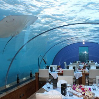 Restaurant Ithaa Undersea