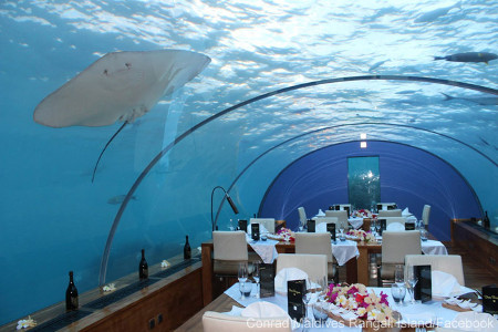 Restaurant Ithaa Undersea