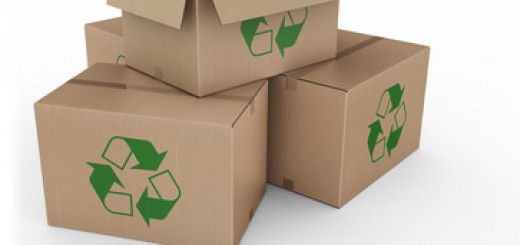 emballage écologique
